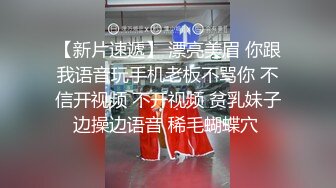 最新流出 大神潜入商场女厕连续偷拍两个小美女