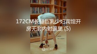 西岛沙织 2