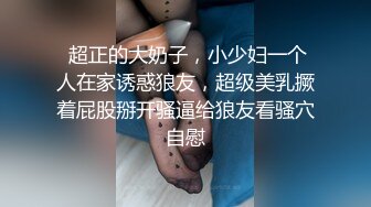  超正的大奶子，小少妇一个人在家诱惑狼友，超级美乳撅着屁股掰开骚逼给狼友看骚穴自慰