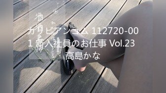 カリビアンコム 112720-001 新入社員のお仕事 Vol.23 高島かな