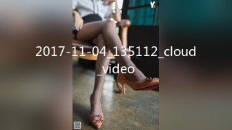 2017-11-04_135112_cloud_video