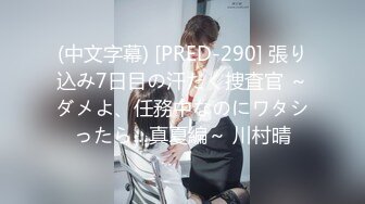 (中文字幕) [PRED-290] 張り込み7日目の汗だく捜査官 ～ダメよ、任務中なのにワタシったら…真夏編～ 川村晴