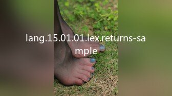 lang.15.01.01.lex.returns-sample